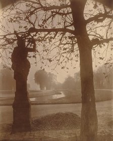 Saint-Cloud, 1926. Creator: Eugene Atget.