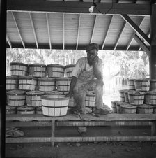 Migrant shed worker, Northeast Florida, 1936. Creator: Dorothea Lange.