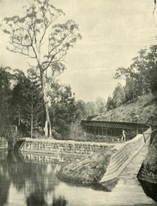 'The Weir and Fluming, Kirk's Reservoir', 1901. Creator: Unknown.