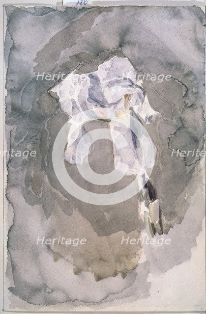 White iris. Artist: Vrubel, Mikhail Alexandrovich (1856-1910)
