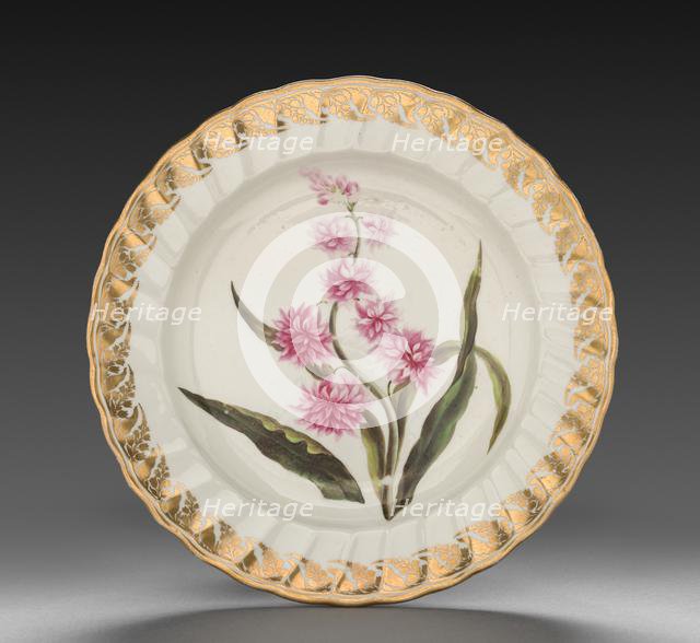 Plate from Dessert Service: Eastern Hyacinth, c. 1800. Creator: Derby (Crown Derby Period) (British).
