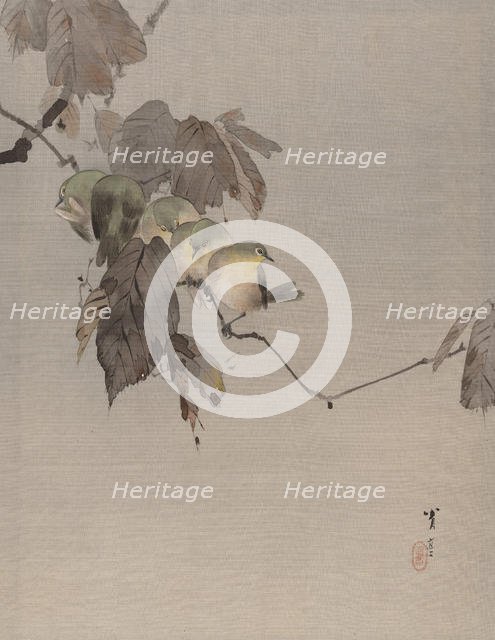 Birds on a Branch, ca. 1887. Creator: Watanabe Seitei.