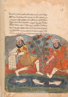 The Fish and the Fisherman, Folio from a Kalila wa Dimna, 18th century. Creator: Unknown.