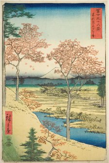 Yuhi Hill at Meguro in the Eastern Capital (Toto Meguro Yuhigaoka), from the series "Thirty-six...,  Creator: Ando Hiroshige.