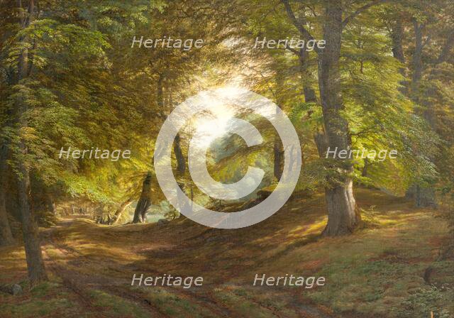 A Wood near Frederiksborg Castle, 1831-1851. Creator: Godtfred Rump.