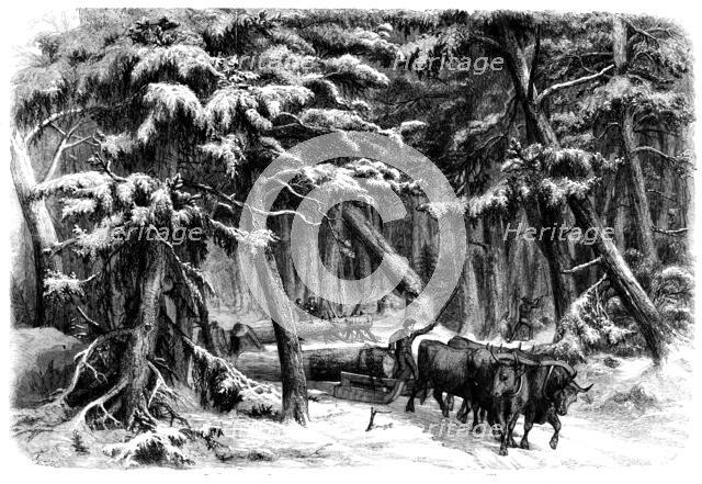 Lumbering in New Brunswick - Lumbermen at Work in the Forest, 1858. Creator: Unknown.