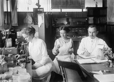 Bacteriology - Dr. George Stiles, 1912. Creator: Harris & Ewing.