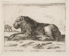 Plate 5: reclining lion, from 'Various animals' (Diversi animali), 1641. Creator: Stefano della Bella.