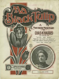 'Ma black tulip', 1900. Creator: Unknown.