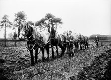 Ploughing in the Buckinghamshire countryside, c1896-c1920. Artist: Alfred Newton & Sons.