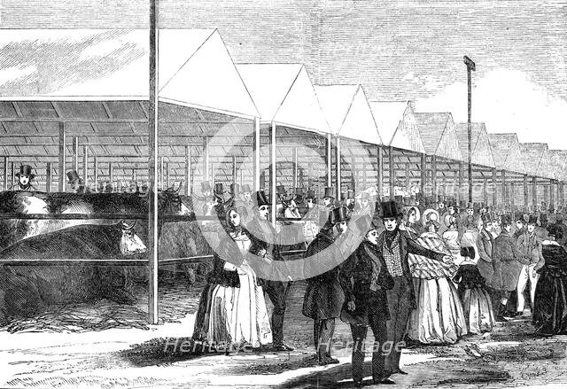 Exhibition of cattle at the meeting of the Royal Agricultural Society at Southampton, 1844. Creator: Unknown.