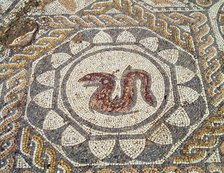 Mosaic in the Amphitheatre house representing a snake, preserved in the archaeological site of Me…