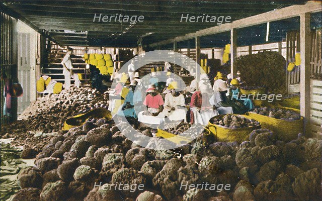 'Esfakis' - Sponge Packing House - Nassau, Bahamas', c1930s. Creator: Unknown.
