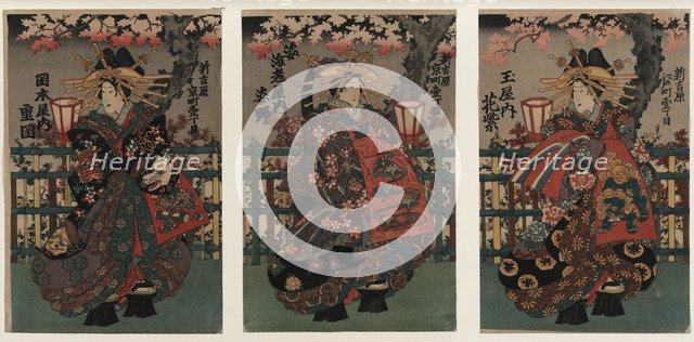 Courtesans Shigeoka, Sugatano and Hanamurasaki. Triptych. From the Series The Beauties of the Yoshiw Artist: Anonymous 