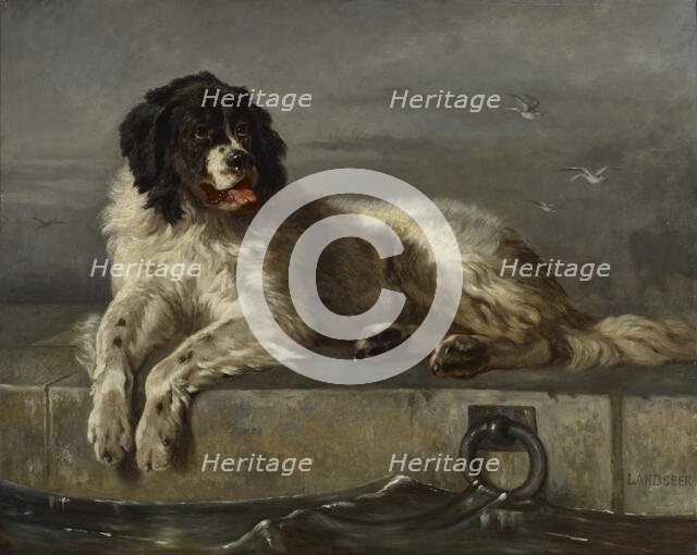 A Distinguished Member of the Humane Society, 1850-1899. Creator: Follower of Edwin Henry Landseer.