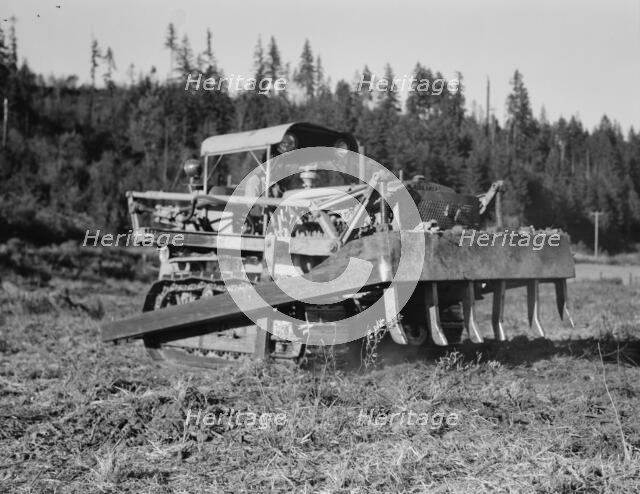 Possibly: Bulldozer raises and pushes stump on cut-over farm, Lewis County, Western Washington, 1939 Creator: Dorothea Lange.
