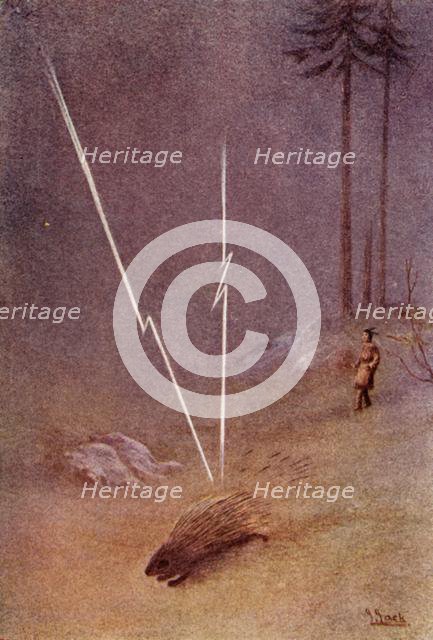 "He suddenly assumed the shape of a gigantic porcupine", 1914. Creator: Unknown.