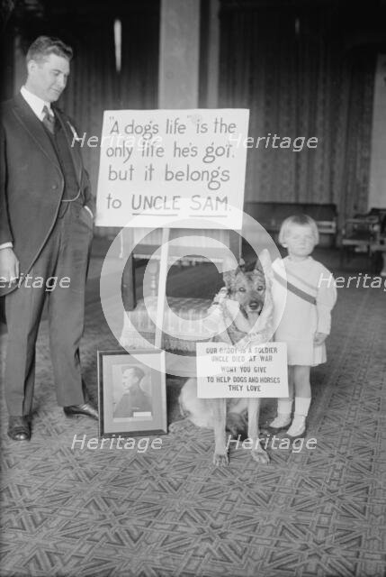 S.H. Herron, "Rex", Jane Bradford, between c1915 and c1920. Creator: Bain News Service.