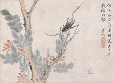 Insect and Tree after Shen Zhou, date unknown, c1652-1690. Creator: Wang Wu.