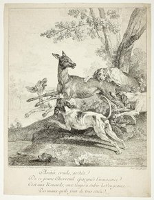 Deer Attacked by Dogs, 1725. Creator: Jean-Baptiste Oudry.