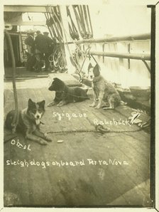 Terra Nova, Antartic Expedition, c1913. Creator: Unknown.