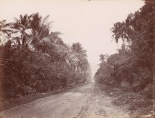 Road Near Singapore, 1860s-70s. Creator: Unknown.