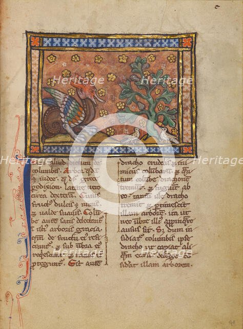 A Peridexion Tree; Bestiary, about 1270. Creator: Unknown.