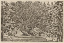 The Inhabited Tree, probably 1653. Creator: Stefano della Bella.