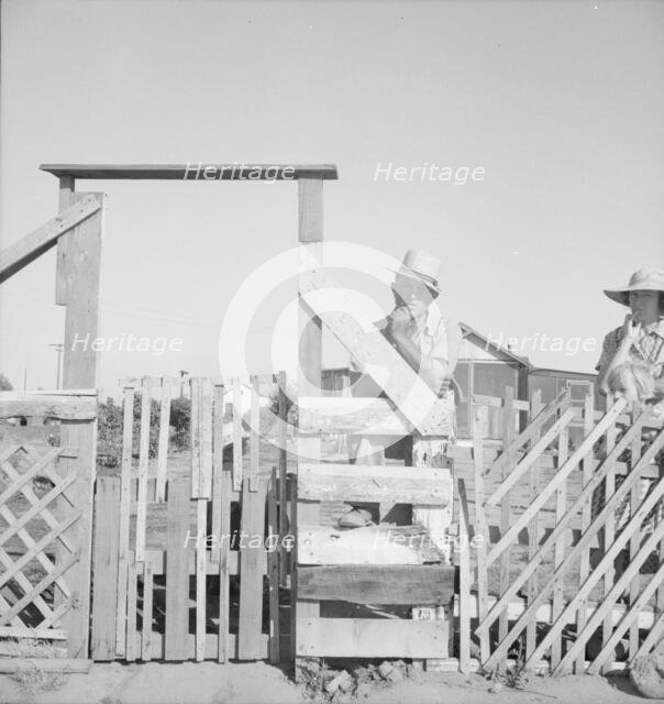 Family from Oklahoma; have been in California for 6 years..., near Fresno, California, 1939 Creator: Dorothea Lange.