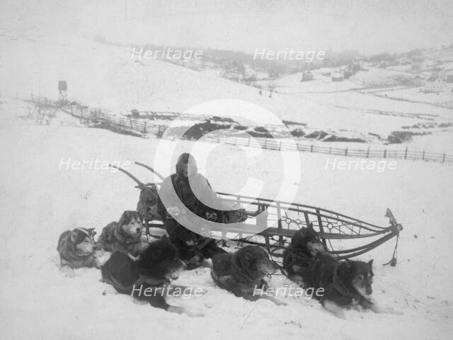 Dog team carrying mail, between c1900 and 1923. Creator: Unknown.