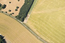 Crop mark of a possible Iron Age settlement in the form of a banjo enclosure, West Berkshire, 2018. Creator: Damian Grady.