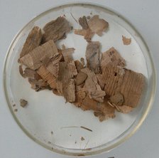 Papyri Fragments, Coptic, 7th century. Creator: Unknown.