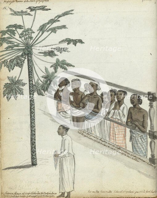 Papaya tree, litigants come to see the Dessave, and a 'hennikap' or free servant in Colombo, 1785. Creator: Jan Brandes.