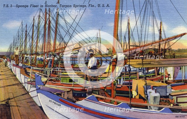 Sponge fleet in the harbour, Tarpon Springs, Florida, USA, 1940. Artist: Unknown