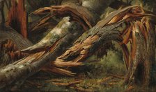Fallen Tree, 1839/1845. Creator: Alexandre Calame.