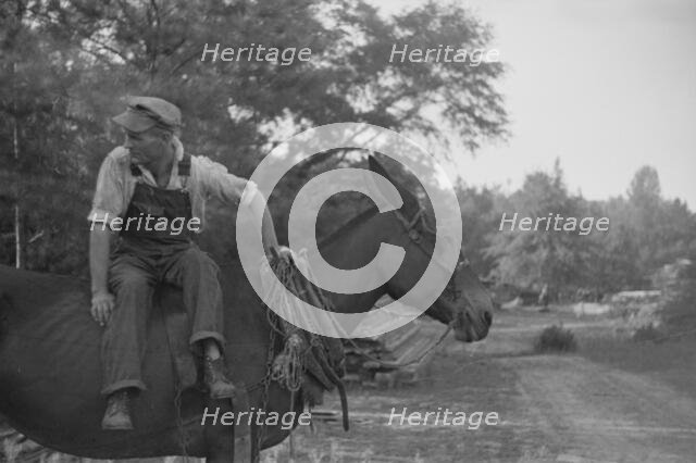 Floyd Burroughs, on mule, Hale County, Alabama, 1936. Creator: Walker Evans.