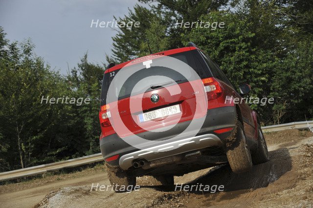 Skoda Yeti 2009. Artist: Simon Clay.