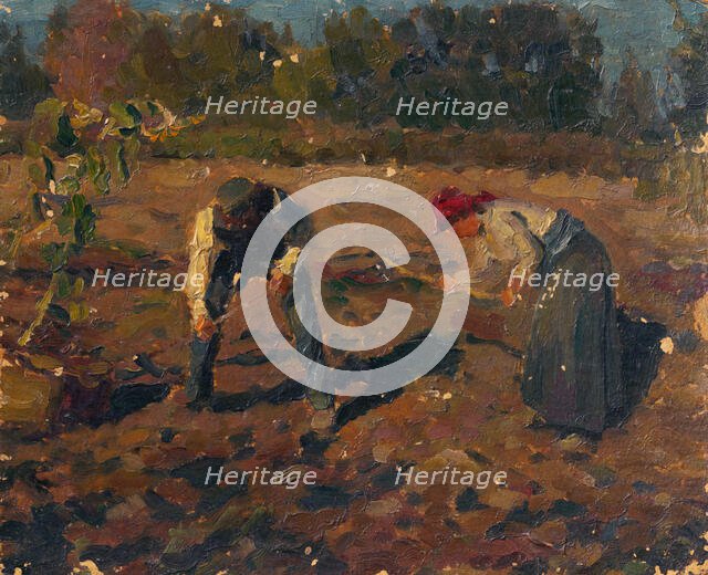 Potato Digging, around 1935. Creator: Teodor Jozef Mousson.