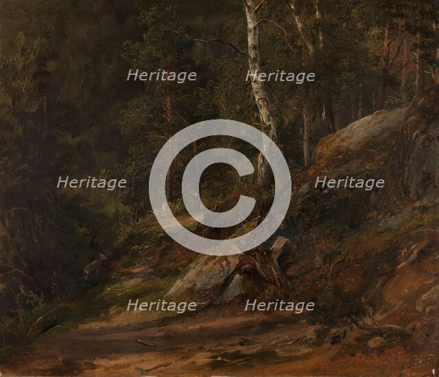 Forest Study from Romsdal, 1836. Creator: Thomas Fearnley.