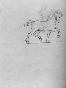 'Study of a Horse', c1480 (1945). Artist: Leonardo da Vinci.