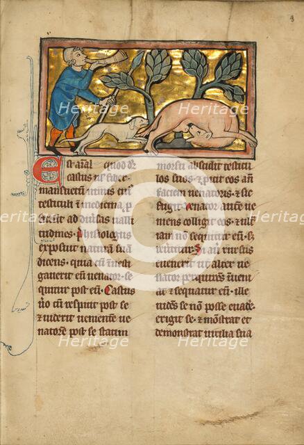 A Hunter and a Beaver; De Natura Avium; De Pastoribus et Ovibus; Bestiarium, 1277 or after. Creator: Unknown.