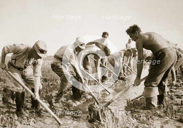 The Labour Service at work, Germany, 1936. Artist: Unknown