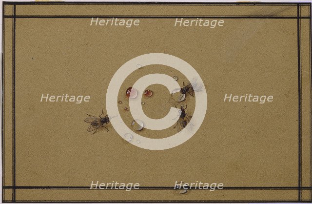 The flies at the waterdrops. Artist: Tolstoy, Fyodor Petrovich (1783-1873)