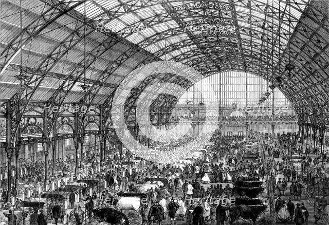 The Smithfield Club Cattle Show at the new Agricultural Hall, Islington, 1862. Creator: Unknown.