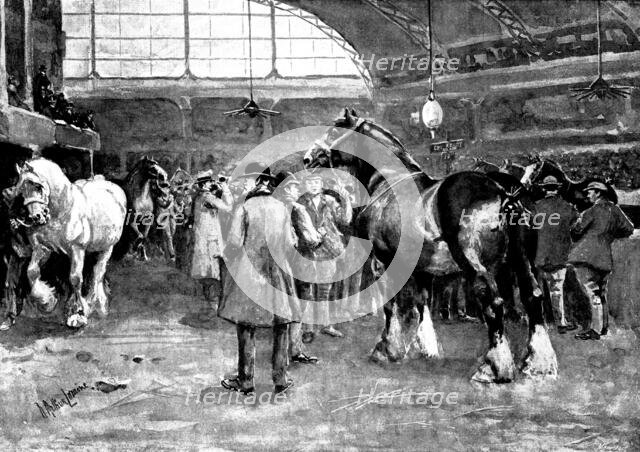 The Shire Horse Show at Islington: preparing for the parade, 1895. Creator: George Meisenbach.