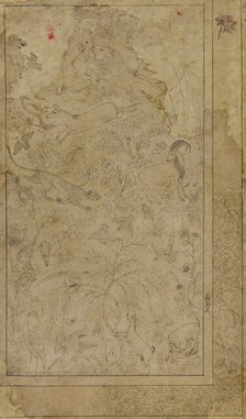 Drawing of animals and plants, early 17th century. Creator: Unknown.