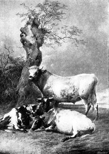 Pictures from the Royal Academy: Repose - T. S. Cooper, R.A., 1895. Creator: George Meisenbach.