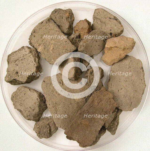 Fragments, Coptic, 4th-7th century. Creator: Unknown.