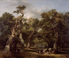 A Forest Glade, Arden, Warwickshire, 1845. Creator: Frederick Henry Henshaw.