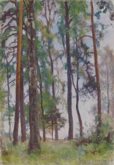 Pines, 1919. Creator: Eero Jarnefelt.